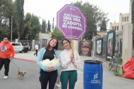 El Centro de Bienestar de los Seres Sintientes presentó mascotas en busca de un hogar, con entrega sujeta al procedimiento correspondiente.