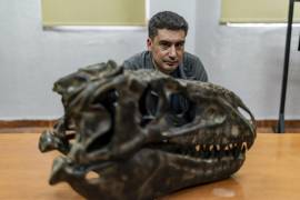 Los paleontólogos aficionados son clave en hallazgos de fósiles de dinosaurios en México: Héctor Rivera, investigador del Museo del Desierto