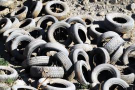 Recolectan niños en Piedras Negras 46 mil neumáticos en desuso