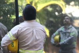 La CFE recomendó no responder llamadas de números desconocidos, evitar contestar mensajes por SMS, WhatsApp o redes sociales que se atribuyan a la empresa.