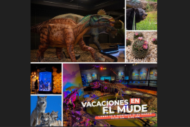 El Museo del Desierto estrenará áreas donde los visitantes podrán observar el dromedosaurio Utahraptor y la tortuga Archelon o el Mamut pigmeo, entre otras atracciones.