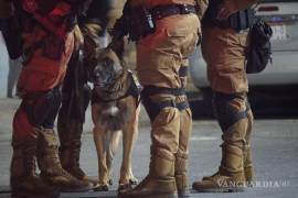 Fuerzas de seguridad de los tres órdenes de gobierno participaron en el operativo.