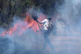 La temporada de incendios forestales en el País amainó durante julio, pero las cifras de siniestros y de superficie afectada por el fuego han impuesto un nuevo récord.