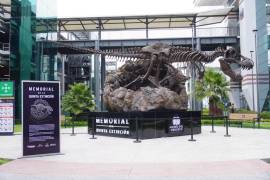 La muestra promueve a Coahuila como destino de turismo científico, de naturaleza, aventura y enológico.