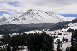 Habrá tala controlada en el Nevado de Toluca: Semarnat... pero también hoteles y campos de golf