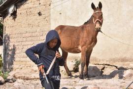 Cada vez es más común ver a menores de edad formar parte del crimen organizado o en policías comunitarias, como especies de autodefensas.