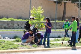 Cerca de 300 estudiantes de secundaria participaron en las labores de reforestación junto con brigadas de la Dirección de Medio Ambiente y Desarrollo Sustentable, según se informó.