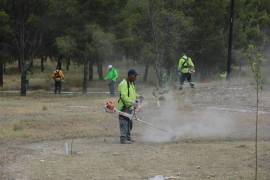 En estos espacios se retiró maleza, basura y desechos acumulados.
