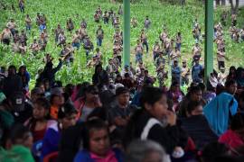 La venta de tortillas y de pollo se suspendió por estas amenazas en 11 localidades de la región.