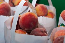 Cofepris alertó este miércoles sobre la posible contaminación en frutas como el durazno, la ciruela y nectarina de la marca HMC Farms.