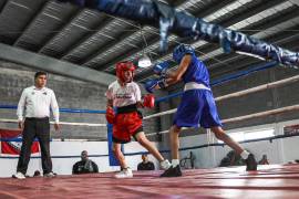 Las sedes fueron el Multideportivo El Sarape, Pueblo Insurgentes y el domo del Instituto Estatal del Deporte.