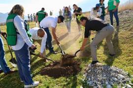 Estudiantes de la Universidad Autónoma de Coahuila participaron en la jornada de reforestación realizada en el Campus Arteaga.