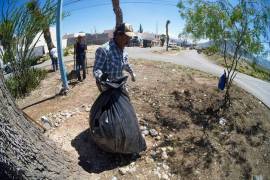 La acumulación de basura, cacharros y escombro favorece la presencia de fauna nociva.