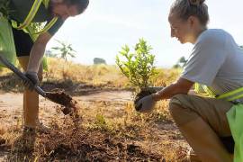 La Universidad Autónoma de Coahuila analiza una iniciativa para que estudiantes planten un árbol como requisito de titulación, como parte de las estrategias de sustentabilidad impulsadas por la institución.