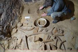 VIENA (AUSTRIA), 23/05/2024.-Expertos del Instituto Arqueológico Austriaco trabajan en la extracción y análisis de huesos de mamut de hasta 40.000 años de antigüedad encontrados en una bodega subterránea a unos 75 kilómetros de Viena. EFE/Oeaw-oeai/Th. Einwögerer SOLO USO EDITORIAL/SOLO DISPONIBLE PARA ILUSTRAR LA NOTICIA QUE ACOMPAÑA (CRÉDITO OBLIGATORIO)