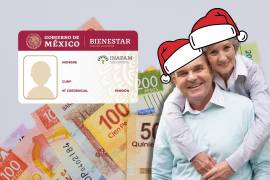 Los adultos mayores que disfrutan de los beneficios de la tarjeta del INAPAM, podrán integrarse a uno de los más recientes programas de ‘Vinculación Productiva de las Personas Adultas Mayores’, cuya incorporación junto a la LFT permitirá acceder al aguinaldo.