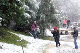 El frente frío #25 muestra sus efectos severos en la recta final de 2025; sin embargo, habrá estados de la República Mexicana donde existirán la posibilidad de nieve, aguanieve y temperaturas extremas.