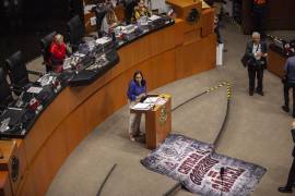 En el Senado de la República también hubo una fuerte discusión sobre esta legislación que considera prisión para quien cuestione a través de memes.