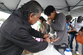 Familias saltillenses acudieron a la Feria del Bienestar Animal, donde hubo perros en adopción y servicios veterinarios.