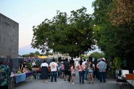 Los habitantes mantienen su compromiso con la protección del nogal ubicado en la colonia y la preservación de su hábitat.
