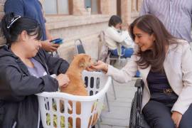 La presidenta honoraria del DIF, Teresita Escalante Contreras, resaltó la importancia de brindar estos servicios de forma constante y gratuita.