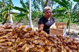 Las acciones se intensificaron tras la confirmación de la presencia de la enfermedad en diversos países de Sudamérica.