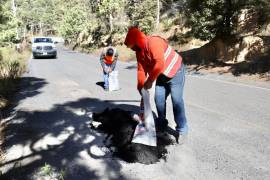 Cuadrillas municipales realizan labores constantes de bacheo en calles de la cabecera municipal de Arteaga, como parte de una estrategia integral para conservar las vialidades en buen estado y reducir riesgos para automovilistas y peatones.