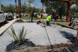 Las acciones de embellecimiento llegaron a plazas y áreas verdes de colonias como Amistad, San Patricio y República.