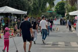 En el concurrido paseo se ofrecerán productos y habrá variadas actividades relacionadas con halloween.