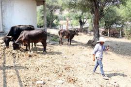 El retroceso se explica por la caída significativa de las actividades agropecuarias, así como por el retroceso de la producción industrial. FOTO: CUARTOSCURO.