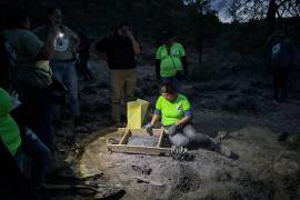 Otros integrantes de Guerreros Buscadores emprendieron una nueva búsqueda, pero en un predio que está a un costado del Río Santiago.
