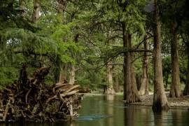 La conmemoración del Río Sabinas este 4 de octubre coincide este año con llamados para reforzar su saneamiento, restauración y protección.
