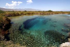 Pronatura propone reglamento para proteger Cuatro Ciénegas