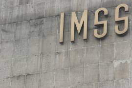 El Informe sobre la Situación Financiera y los Riesgos del Instituto Mexicano del Seguro Social 2025-2026 detalla cómo el incremento de pacientes con diabetes mellitus es uno de los principales factores de presión sobre las finanzas del IMSS.