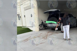 Dignidad Animal A.C. presentó la denuncia formal y entregó nuevos elementos para fortalecer la investigación por presunto maltrato animal en Saltillo.