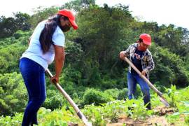 El empleo femenino fue el más afectado durante los primeros seis meses de 2024; en especial el campo es uno de los sectores que más empleos han perdido este año