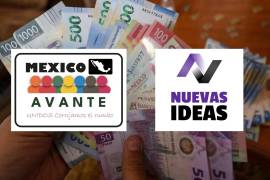 México Avante y Nuevas Ideas no han transparentado movimientos financieros durante las campañas.