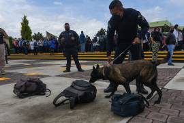 La CNDH aclaró que su Recomendación 48/2019 no prohíbe el Operativo Mochila Segura en escuelas.