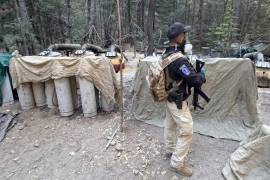Empezaron las operaciones de Estados Unidos en México
