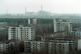 Cultivos de cereal siguen contaminados cerca de Chernobyl. Los cultivos de cereal que crecen cerca de Chernobyl pero fuera de la zona de exclusión todavía están contaminados debido al accidente nuclear de 1986, según muestra una nueva investigación.