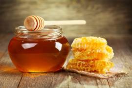 México, séptimo productor de miel en el mundo