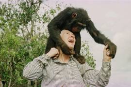 Jane Goodall juega con Bahati, una chimpancé hembra de 3 años, en el Santuario de Chimpancés Sweetwaters, cerca de Nanyuki, al norte de Nairobi, el 6 de diciembre de 1997.