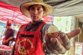 Con los rambutanes frescos en mano, Francisco Aragón recorre el país, llevando estos frutos poco comunes a regiones del norte de México, como Saltillo, donde ha encontrado una cálida bienvenida.