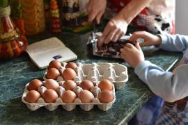 Niñas y niños participarán en actividades interactivas sobre alimentación y ciencia.