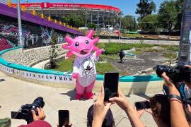 Diversos colectivos por personas desaparecidas realizaron pega de fichas de búsqueda en la periferia del Estadio Ciudad de México, esto a unos días de que se inaugure la Copa Mundial en nuestro país.