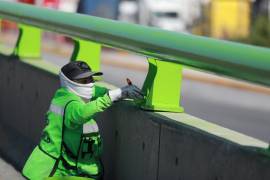 El mantenimiento en El Sarape busca mejorar la visibilidad y la seguridad de miles de automovilistas.