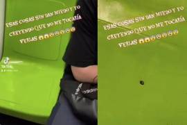 Algunos internautas aseguraron que el insecto no era una chinche sino una garrapata, lo que generó aún más preocupación por los riesgos de contagio de enfermedades.