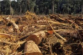 Después de Brasil, México es la segunda nación en América Latina que más emisiones de gases de efecto invernadero genera, señaló la organización