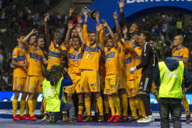 Tigres desea mostrar respeto a los rivales: Torres Nilo