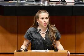 Sostuvo que el Estado debe garantizar información, atención médica y respeto a la dignidad de las mujeres.